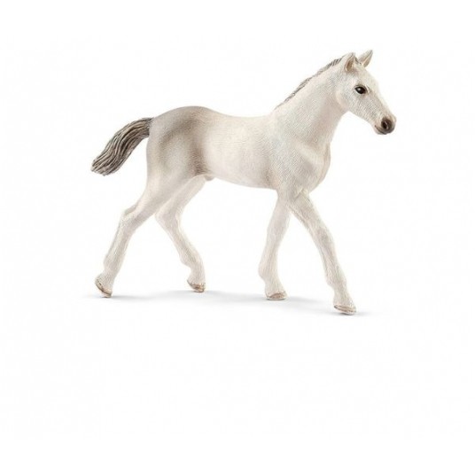 SCHLEICH KOŃ ŹREBIĘ RASY HOLSZTYŃSKIEJ /5 -zdjęcie numer 1