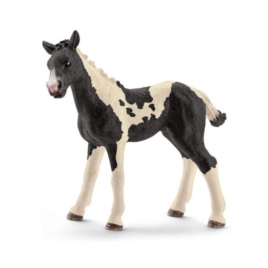 SCHLEICH KOŃ ŹREBIĘ RASY PINTO / -zdjęcie numer 1