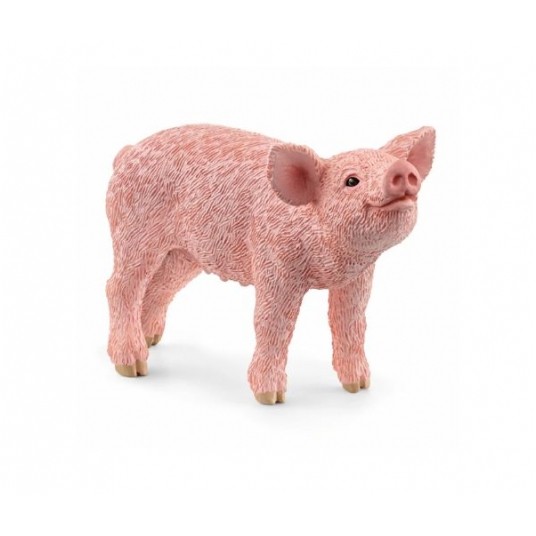 SCHLEICH PROSIĘ /5 -zdjęcie numer 1