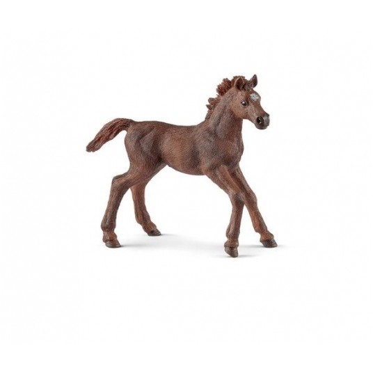 SCHLEICH ŹREBIĘ PEŁNEJ KRWI ANGIELSKIEJ /5 -zdjęcie numer 1