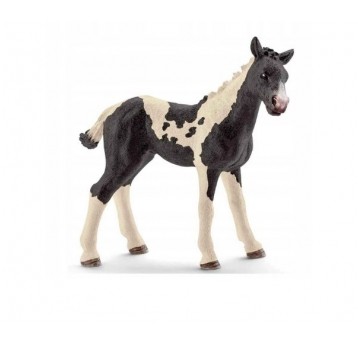 SCHLEICH KUCYK RASA PINTO /5